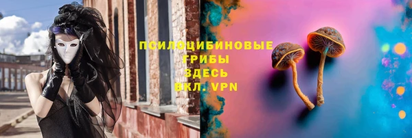 гидропоника Осинники