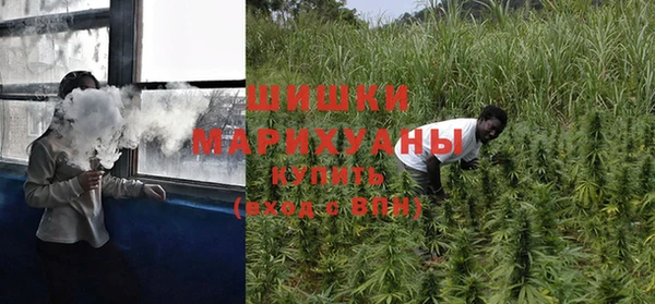 ПСИЛОЦИБИНОВЫЕ ГРИБЫ Осташков