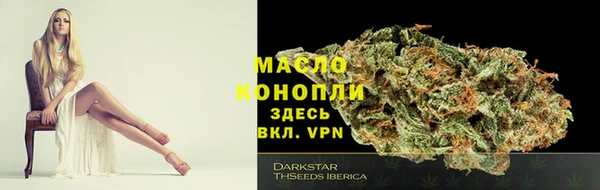молекула духа Весьегонск