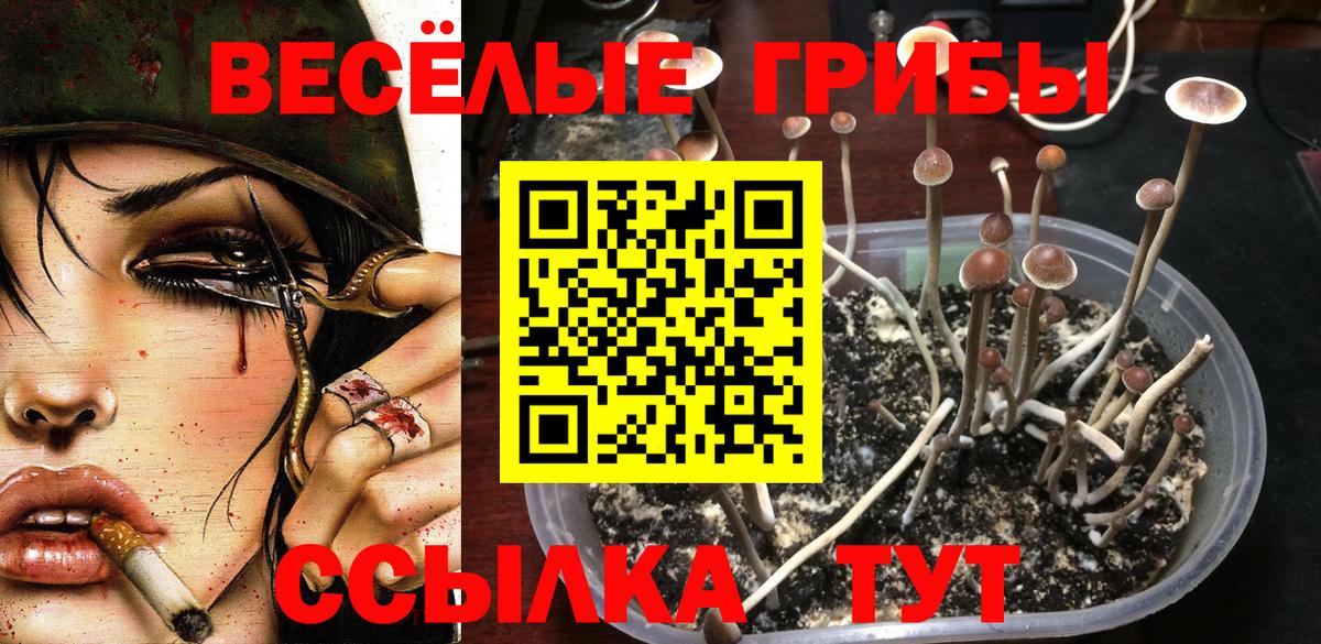 Псилоцибиновые грибы мицелий  Печора  Галлюциногенные грибы мицелий 