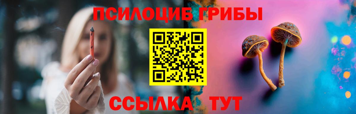 Псилоцибиновые грибы Cubensis  Галлюциногенные грибы мухоморы  Вход с VPN  Печора 